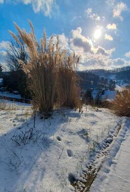 Foto - andere zur Miete in Reichelsheim (Odenwald)