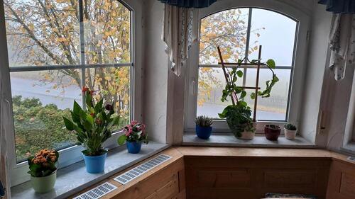 Foto - Einfamilienhaus mit Anbau - 500.000,00 EUR Kaufpreis,