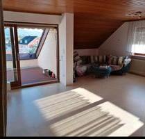 Helle 2 Zimmer Wohnung mit Dachterrasse und EBK in Großheubach