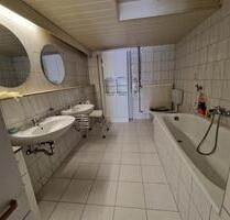 Vermiete ein großzügiges 1 Zimmerapartment - Königsbronn