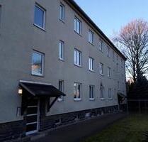 Gut geschnittener Wohnraum mit Einbauküche! - Chemnitz Ebersdorf