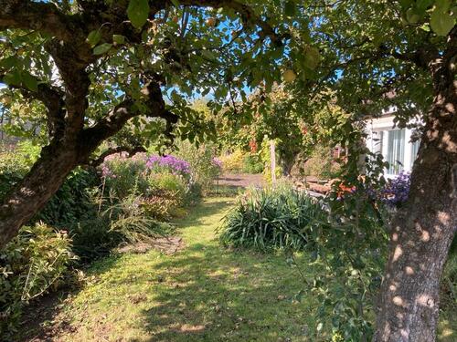 Foto - Kleingarten Greifswald - 1.500,00 EUR Kaltmiete, ca.  0,00 m²