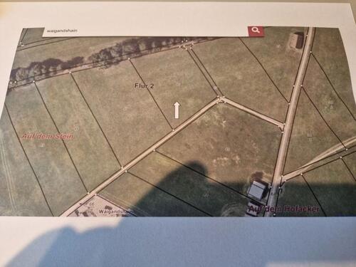 Foto - Wiese, Weide, Garten, Tierhaltung, Photovoltaik, in Waigandshain