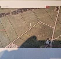 Wiese, Weide, Garten, Tierhaltung, Photovoltaik, in Waigandshain - Rennerod