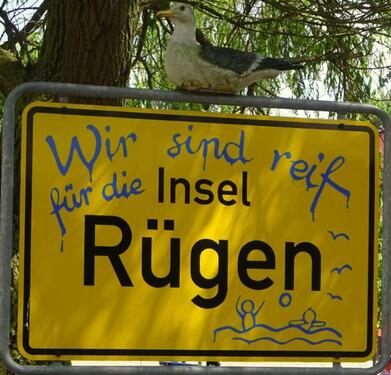 Foto - andere in Dranske zur Miete