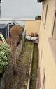Foto - 6 Zimmer Einfamilienhaus in Heddesheim
