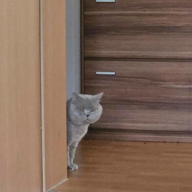 Foto - 15 Zimmer andere zur Miete in Leipzig