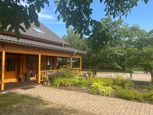 Foto - Einfamilienhaus in Dinklage zum Kaufen