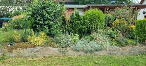 Foto - Grundst&uuml;ck in Pirna zur Miete