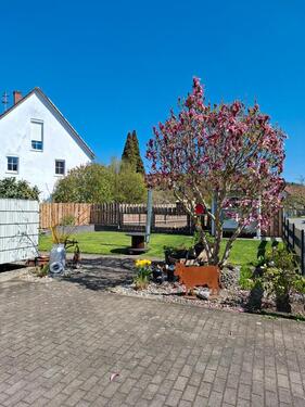 Foto - 7 Zimmer Einfamilienhaus in Hochdorf