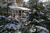 Foto - andere in Rostock zur Miete