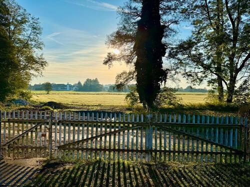 Foto - Einfamilienhaus in Guben