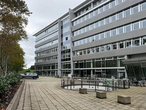 Foto - andere in Mannheim