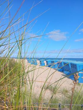 Foto - Moderne Ferienwohnung Ostsee Strand Damp Yachthafen Meer