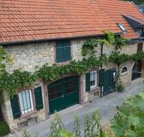 Urlaub im Rebenmeer Rheinhessen Guntersblum Ferienhaus von Privat