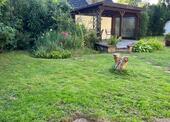 Foto - Einfamilienhaus zur Miete in Klein Nordende