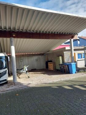 Foto - andere in Moos