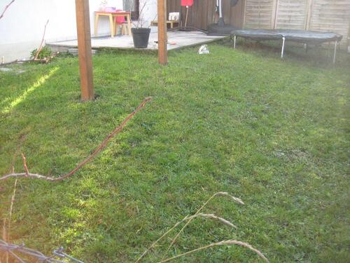 Foto - Etagenwohnung in Dachsbach zur Miete