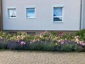 Foto - 3 Zimmer Wohnung EG - 1.100,00 EUR Kaltmiete, ca.  74,00 m²