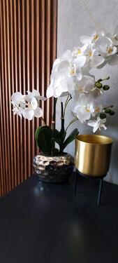 Foto - Traum Ferienwohnung Bouznika Marokko