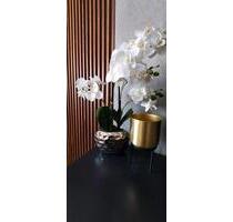 Traum Ferienwohnung Bouznika Marokko - Mainz Gonsenheim