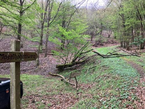 Foto - Grundstück in Bruttig-Fankel zur Miete
