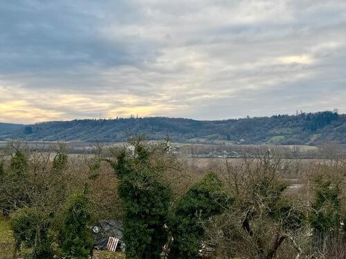 Foto - Renovierte 3 Zimmerwohnung mit Mainblick
