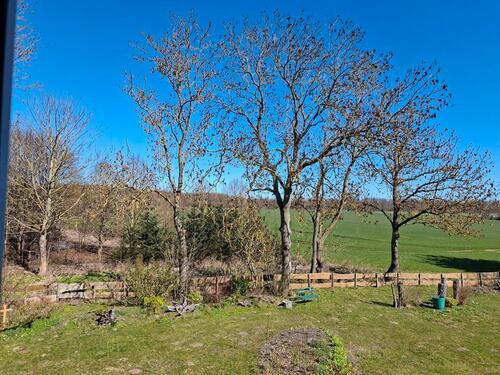 Foto - Etagenwohnung in Ahrenshagen-Daskow