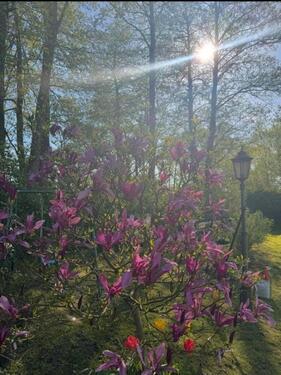 Foto - Grundst&uuml;ck zur Miete in Bentwisch