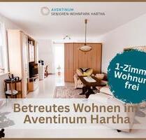 Betreutes Wohnen: Gemütliche 1-Zimmer-Wohnung im Aventinum Hartha - Tharandt