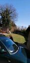 Foto - 6 Zimmer Einfamilienhaus in Preetz