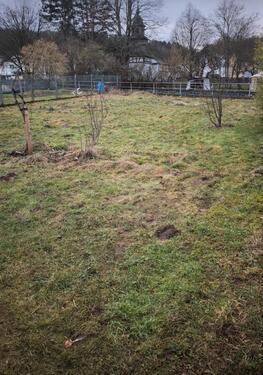 Foto - Grundst&uuml;ck zur Miete in Solms