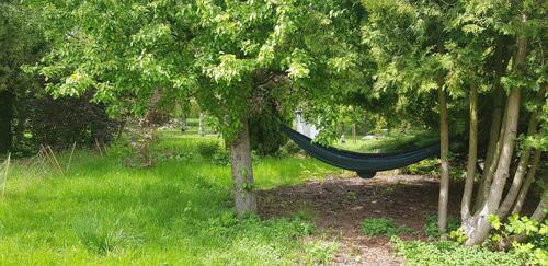 Foto - Etagenwohnung in Lüdersdorf zur Miete
