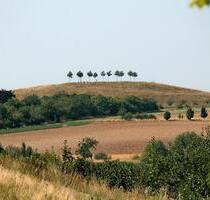 Reihenhaus Hannover Kronsberg - provisionsfrei