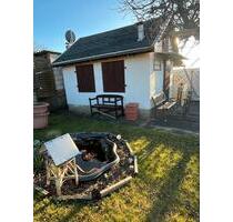 Pachtgarten Nr. 160 ,,Am Steinertsberg“ abzugeben - Gera Debschwitz