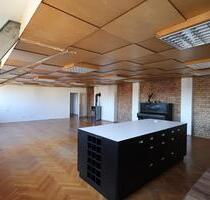 Große Loft-4-Raum-Wohnung 150qm, zentrumsnah, Dachterrasse, Kamin - Zwickau