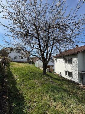 Foto - Einfamilienhaus in Sinzing zum Kaufen