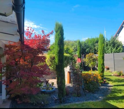 Foto - Einfamilienhaus in Offstein