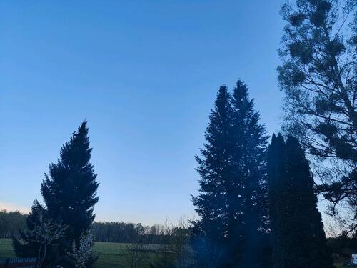 Foto - Einfamilienhaus in Dessau-Roßlau zum Kaufen