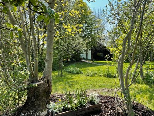 Foto - Freistehendes Einfamilienhaus in Friedland