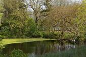 Foto - Grundst&uuml;ck zur Miete in Marlow