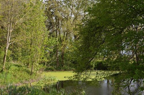 Foto - Grundst&uuml;ck in Marlow