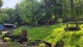 Foto - Garten in Pirmasens zu verpachten