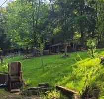 Garten in Pirmasens zu verpachten - Höheinöd
