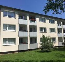 Die gefällt mir: renovierte 2-Zimmer-Wohnung - Bielefeld Stieghorst