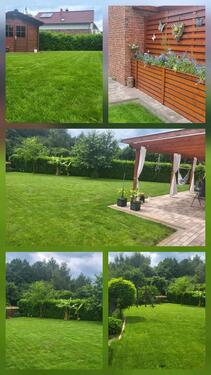 Foto - Einfamilienhaus zum Kaufen in Nienburg (Weser)