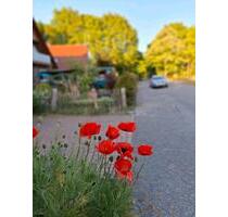 Einfamilienhaus Aurich Popens nähe Ems Jade Kanal