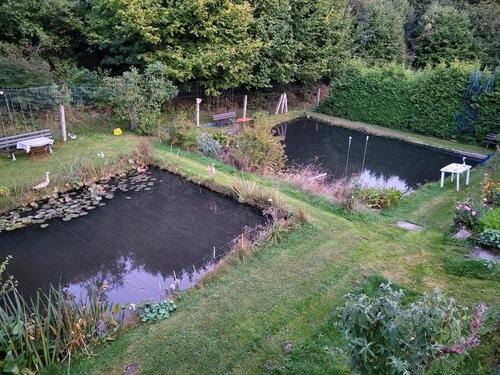 Foto - Grundst&uuml;ck zur Miete in Suhl