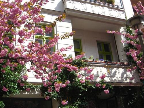 Foto - andere in Berlin zur Miete