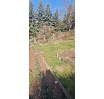 Pachtgarten - 2.000,00&nbsp;EUR Kaltmiete, ca.&nbsp; 0,00&nbsp;m&sup2; in Gera (PLZ: 07548) Debschwitz